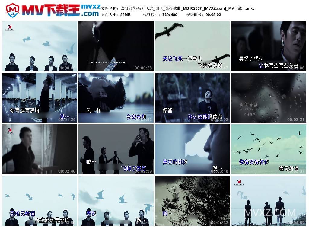 太阳部落-鸟儿飞过_国语_流行歌曲_MB102357